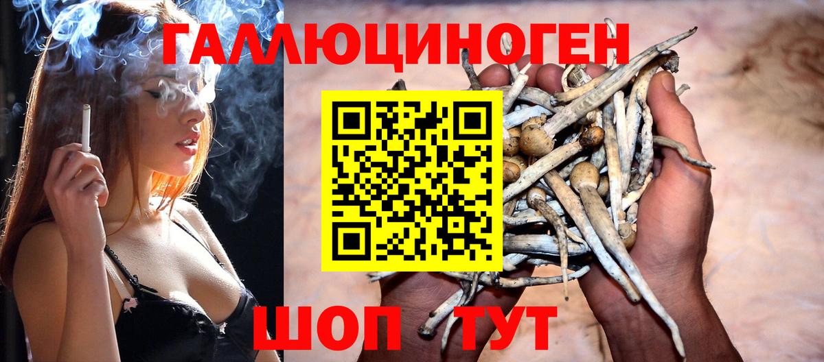 купить   Вход с VPN  Тихвин  Галлюциногенные грибы Magic Shrooms 